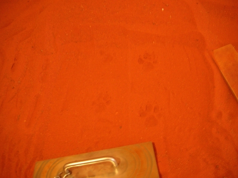 s_A_PICT0510.jpg